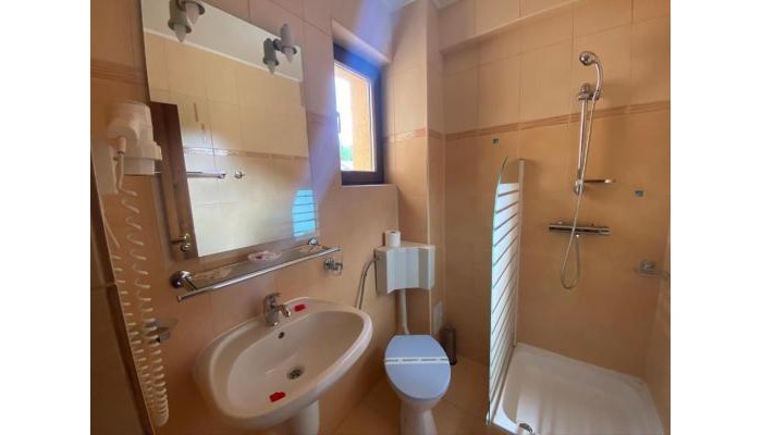 Pensiunea Flora Alpina poza 6