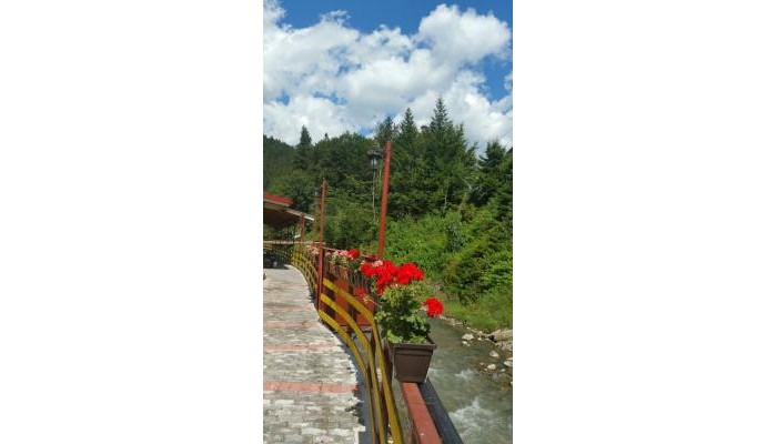 Hotel Larisa Azuga poza 0