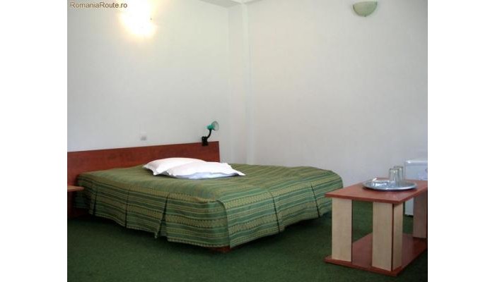 Hotel Larisa Azuga poza 1