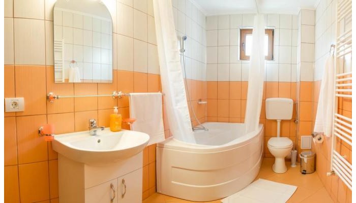 Vila Alma Azuga poza 8