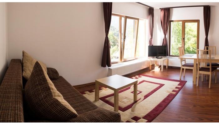 Vila Alma Azuga poza 11