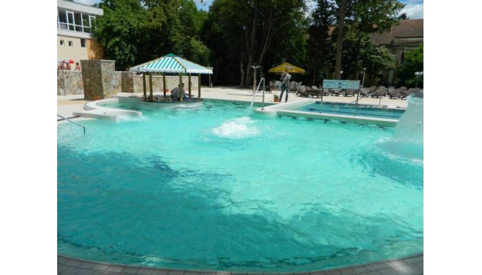 Hotel Nufarul poza 5