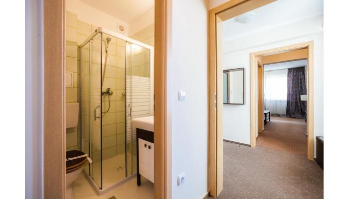 Hotel Domogled poza 8