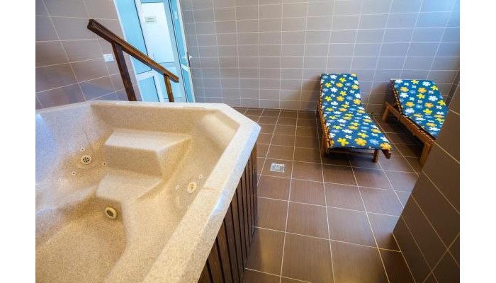 Hotel Domogled poza 11