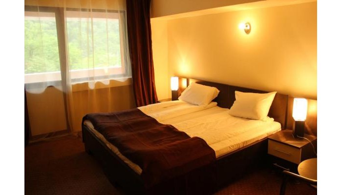 Hotel Domogled poza 4