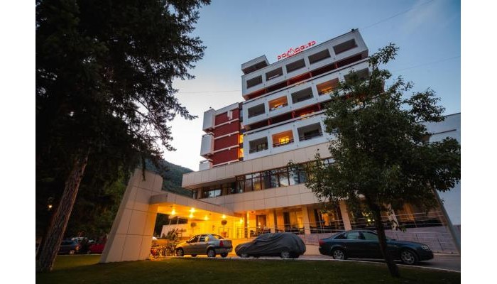 Hotel Domogled poza 0