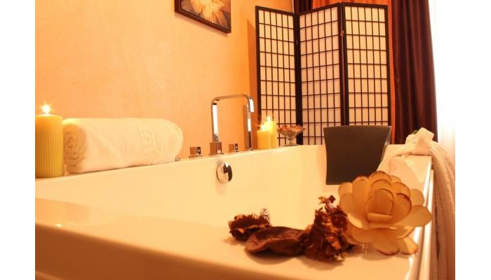 Hotel Domogled poza 10