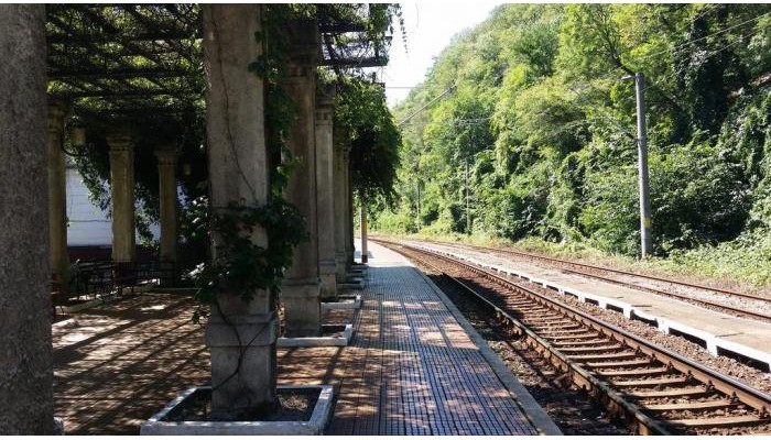 Pensiunea Floare De Colt poza 9