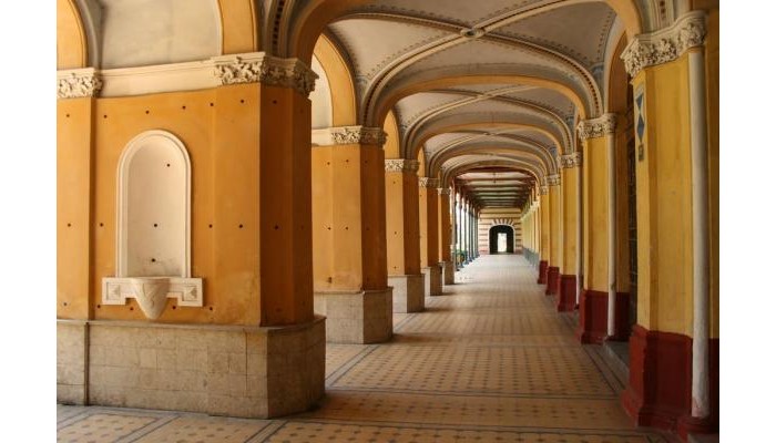 Pensiunea Floare De Colt poza 10