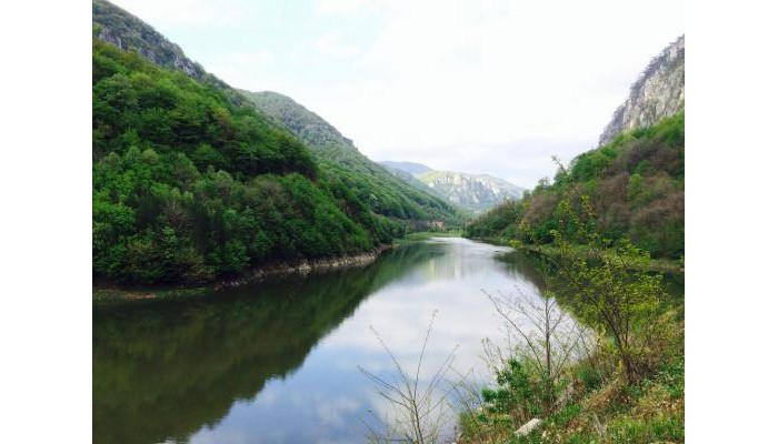 Pensiunea Floare De Colt poza 12