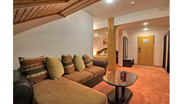 Hotel Ambient poza 4