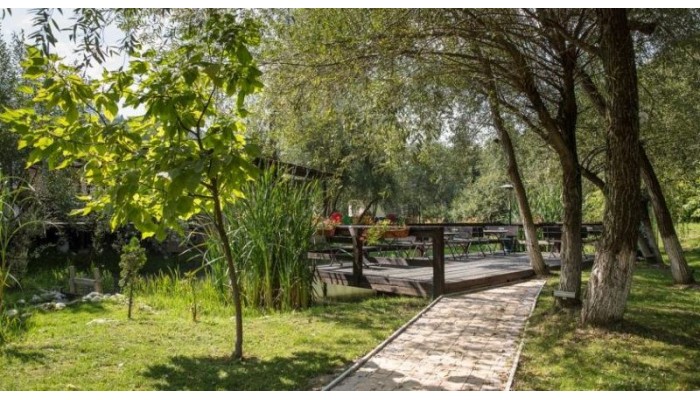 Hotel Dambu Morii poza 3