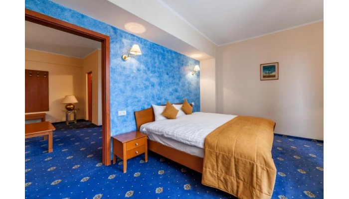 Hotel Best Western Plus Expocenter poza 30