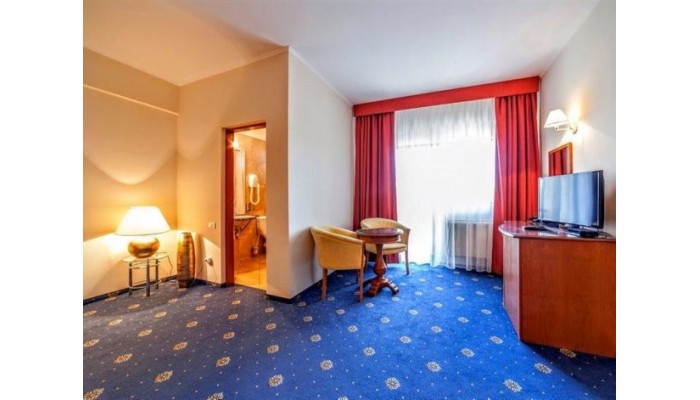 Hotel Best Western Plus Expocenter poza 5