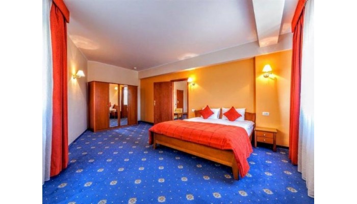 Hotel Best Western Plus Expocenter poza 14