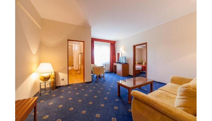 Hotel Best Western Plus Expocenter poza 29