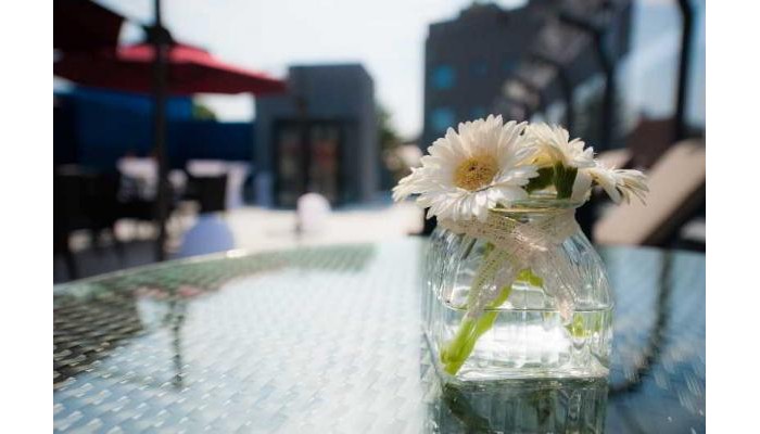 Hotel Lev Or I poza 9