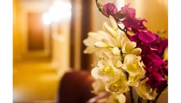 Hotel Lev Or I poza 4