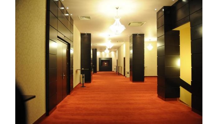 Rin Airport Hotel poza 28