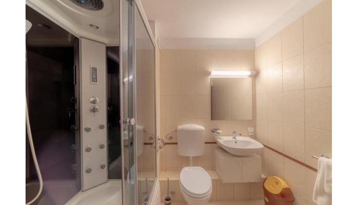 Pensiunea Cluj poza 12