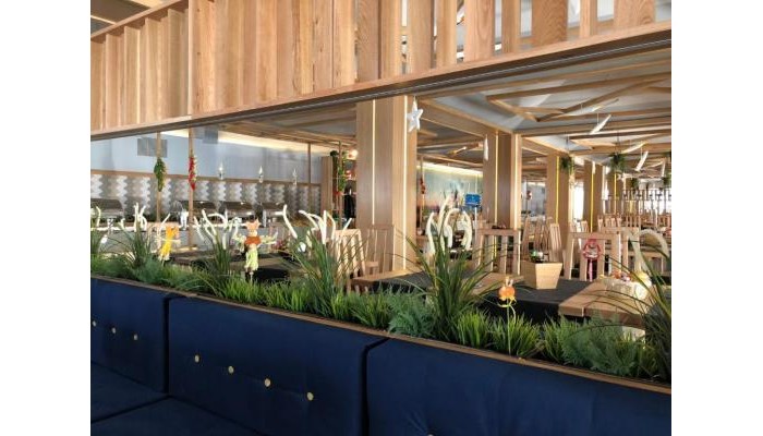 Aqvatonic Balneo Spa & Hotel - Steaua De Mare poza 9