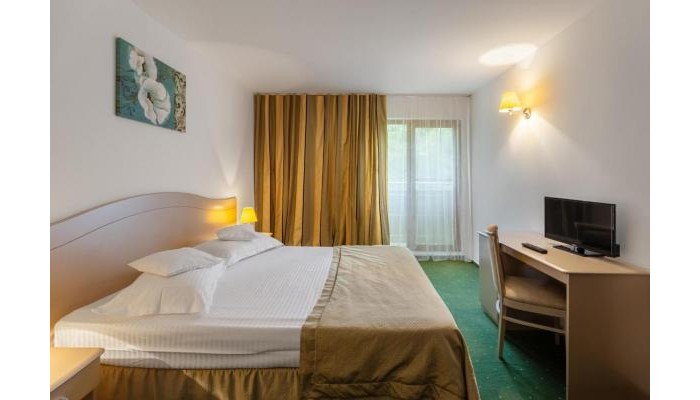 Hotel Bran Brad Bega By Steaua De Mare poza 10