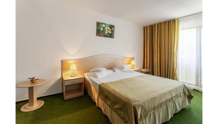Hotel Bran Brad Bega By Steaua De Mare poza 11