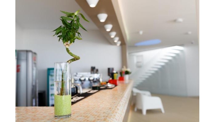 Hotel Zenith Conference Spa poza 2
