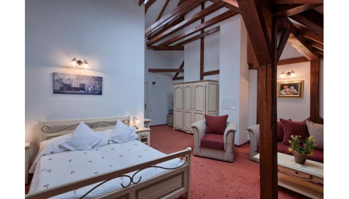 Hotel Traube *** poza 4