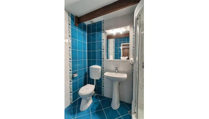 Hotel Traube *** poza 6