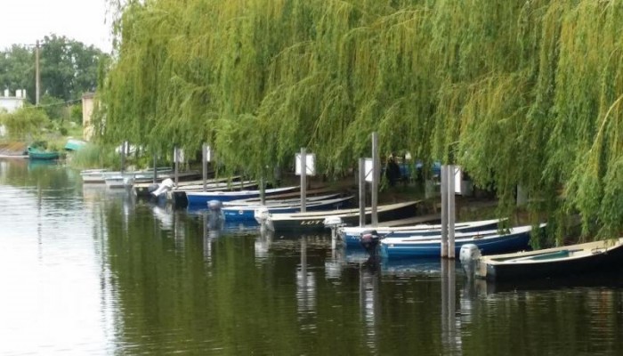 Hotel Delta Paradis poza 1