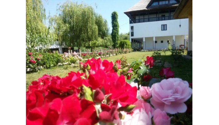 Hotel Delta Paradis poza 4