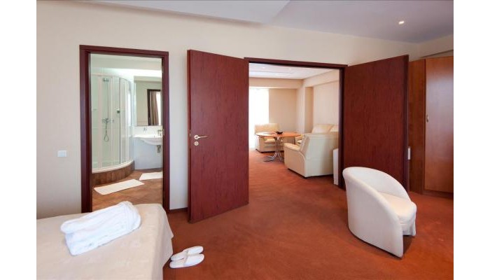 Hotel Cocor Spa poza 2