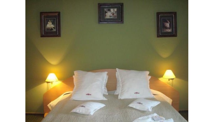 Aparthotel Atlantic Oradea poza 14