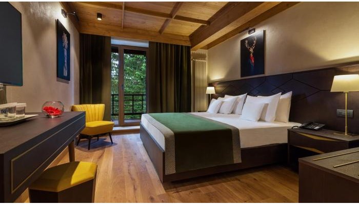 Ana Hotels Bradul Poiana Brasov poza 11