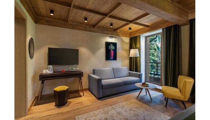 Ana Hotels Bradul Poiana Brasov poza 20