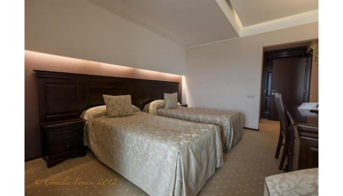 Hotel Alpin poza 27