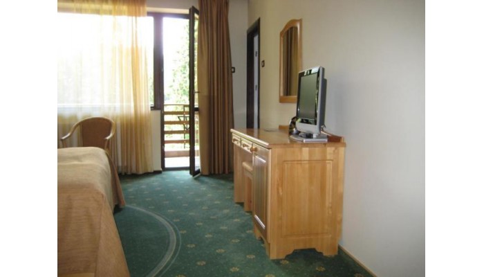 Hotel Casa Viorel poza 1