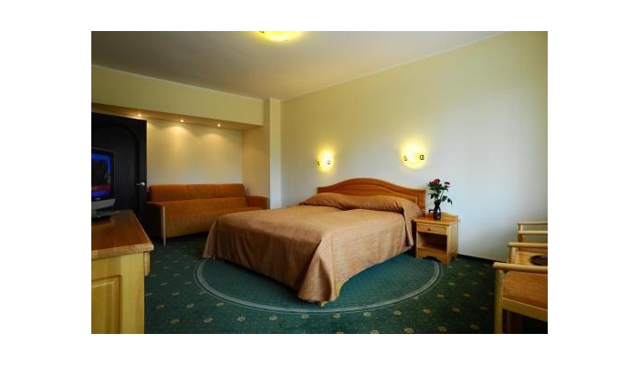 Hotel Casa Viorel poza 2