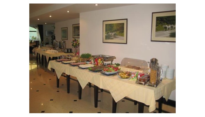 Hotel Casa Viorel poza 5