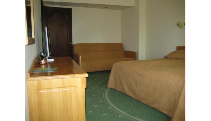 Hotel Casa Viorel poza 6