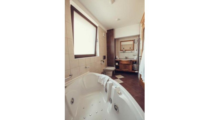 Pensiunea Denisa poza 3