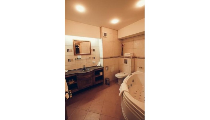 Pensiunea Denisa poza 6