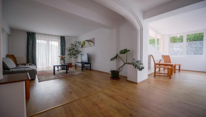 Hotel Cabana Trei Brazi poza 9