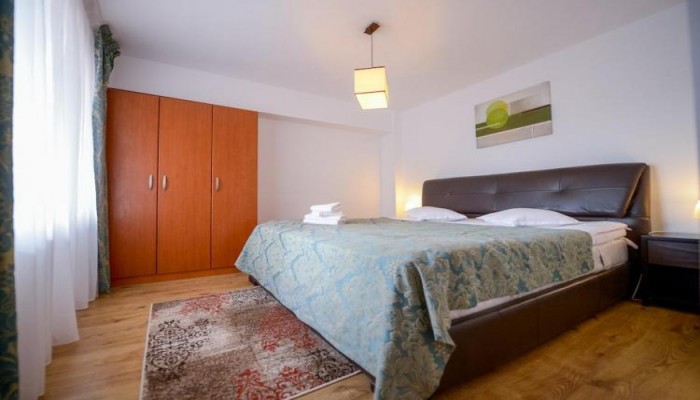 Hotel Cabana Trei Brazi poza 13