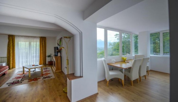 Hotel Cabana Trei Brazi poza 10