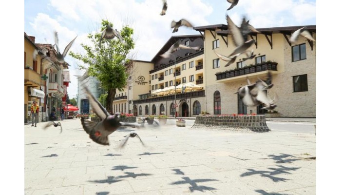 Hotel Carmen poza 14