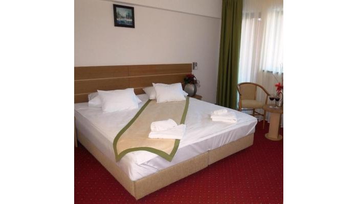 Hotel Carpati poza 6