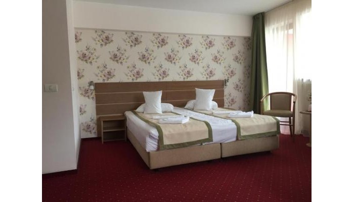 Hotel Carpati poza 5