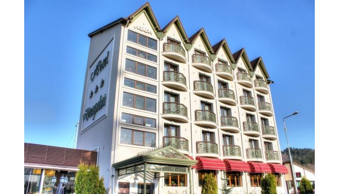 Hotel Dragului poza 0